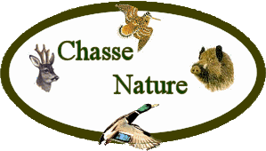 ACCA Chasse de Luc sur Orbieu
