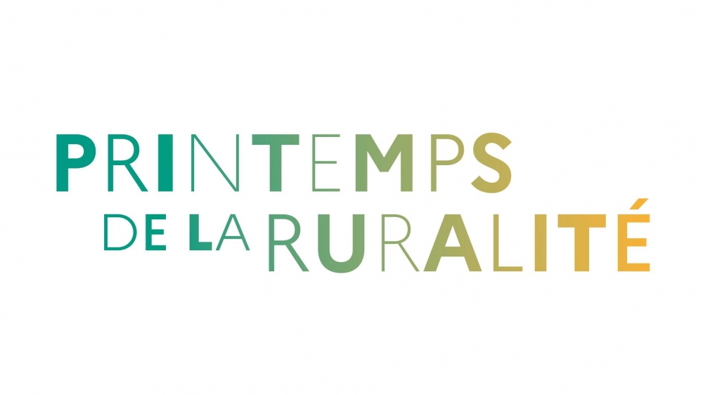 Lancement de la consultation 